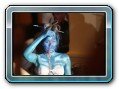 Samui International Body Painting Competition
