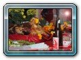 chinesisches Neujahr 2011
