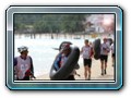 Samui Trophy 2011