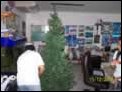 unser 1. Tannenbaum in unserem Office