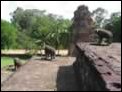 Rolous - Bakong