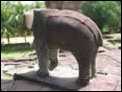 Rolous - Bakong