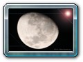 mond