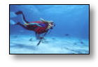Taucher von Easy Diver