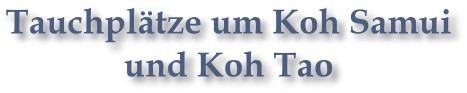 Tauchpl&auml;tze um Koh Samui und Koh Tao