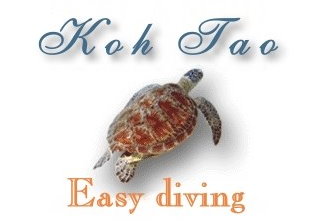 Die besten Tauchpl&auml;tze sind in und um Koh Tao