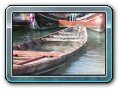 Delfin Tour to Kanom