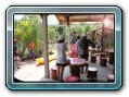 Delfin Tour to Kanom