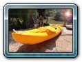 Delfin Tour to Kanom