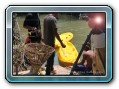 Delfin Tour to Kanom