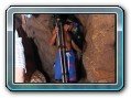 Delfin Tour to Kanom