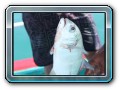 Fishingtour mit Mr. Ung