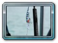 Fishingtour mit Mr. Ung