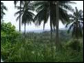 Jungle Tour mit dem Jeep von Mr. Ung